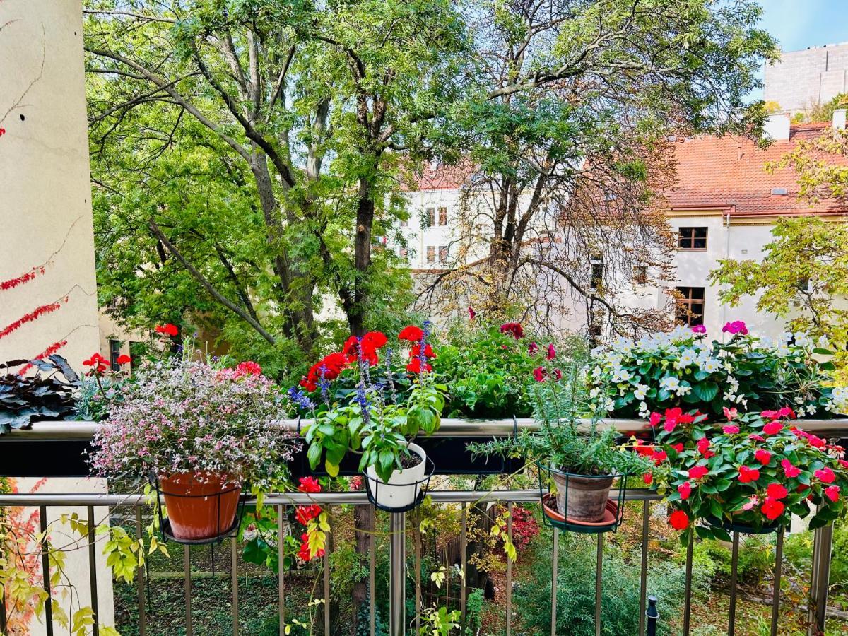 Green Balcony & King Size Bed Prag Dış mekan fotoğraf